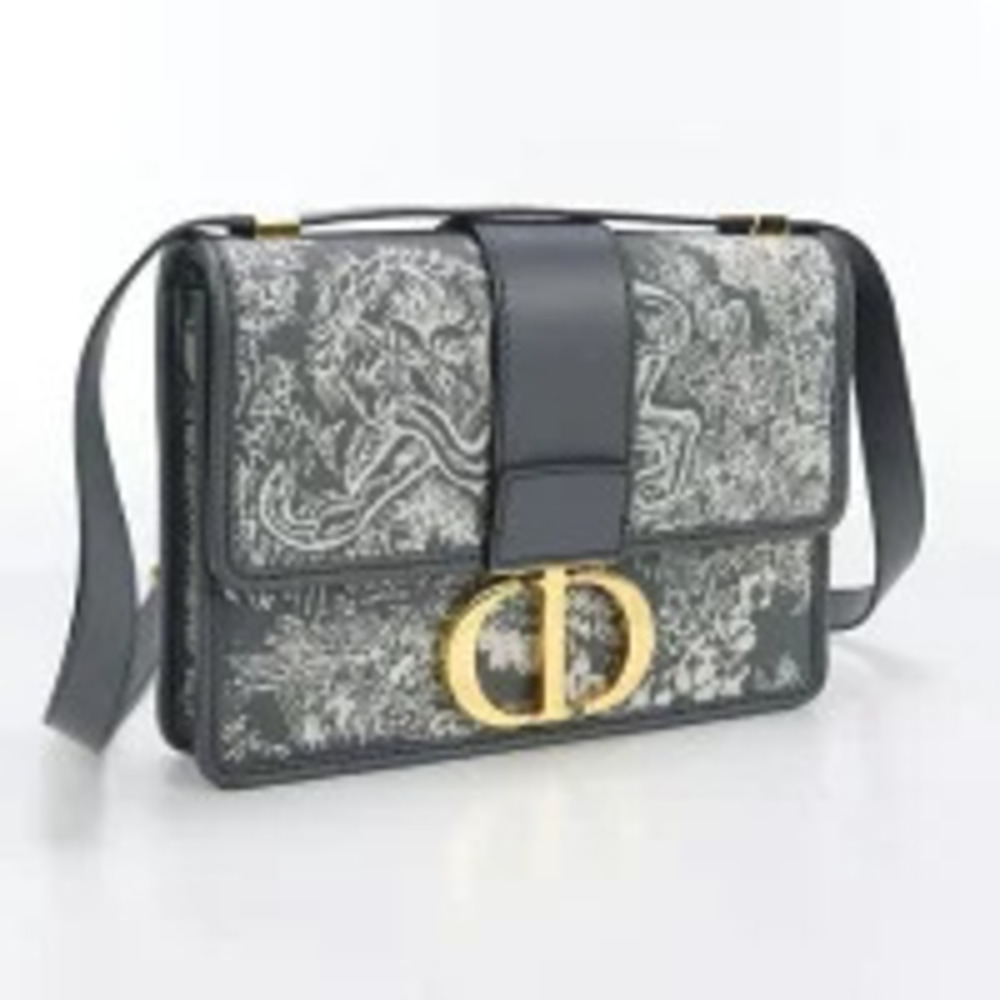 Christian Dior Crossbody Bag Montaigne Gray - Picture 3 of 10